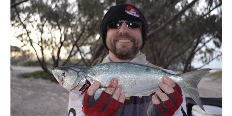 Tin Can Bay boaties buzzing - Bush 'n Beach Fishing Magazine