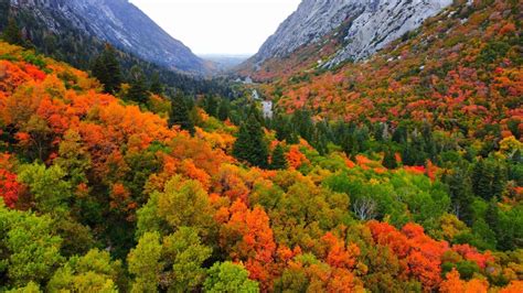 Fall colors lead to record traffic in Cottonwood canyons