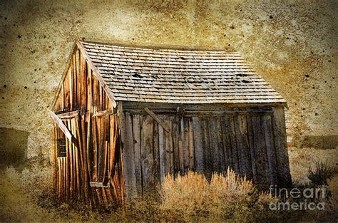 Wooden Shack Photograph by Norma Warden - Fine Art America