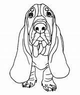 Basset Hound Coloring Pages  Best Coloring Pages For Kids sketch template