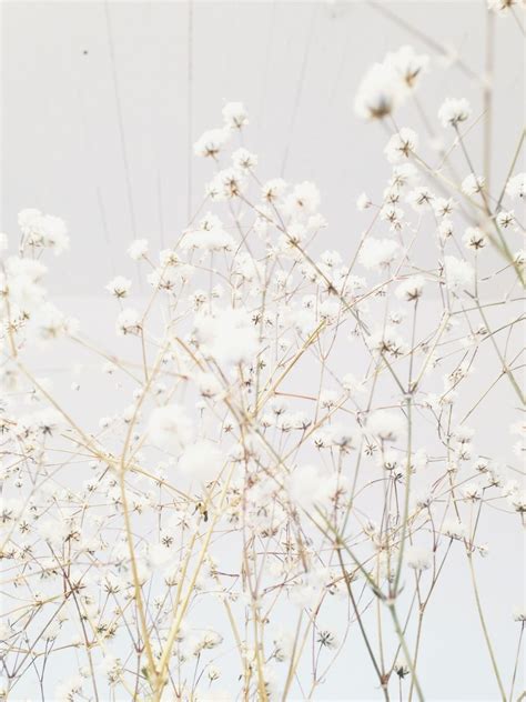 - white hues - #byfryd | jeanettelunde | White aesthetic, White wallpaper, Aesthetic backgrounds