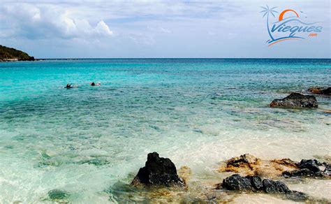 Snorkeling in Vieques Island, Puerto Rico | Vieques