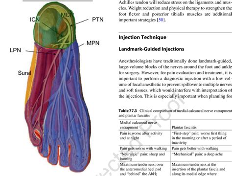 Lateral Plantar Nerve Entrapment Symptoms, Causes Treatment | atelier ...