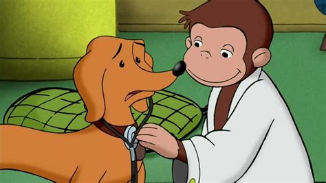 Curious George Season 1 Episode 12 Doctor Monkey / Curious George the Architect | Watch cartoons ...