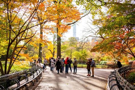 10+ BREATHTAKING Spots for Fall Foliage in New York City