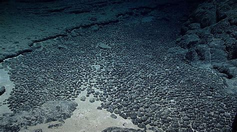 Risks Of Deep Sea Mining For Electric Car Minerals : NPR