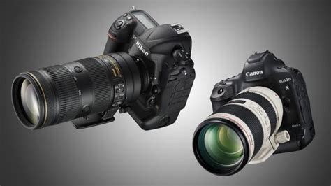 Best telephoto lens: top lenses for Canon and Nikon DSLRs | TechRadar