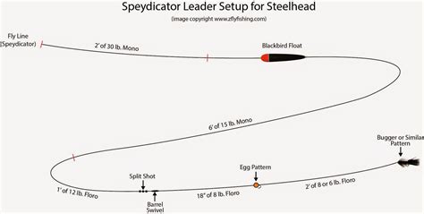 Fly Fishing Rod Setup Diagrams