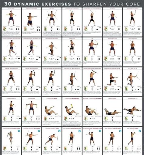 Right Workouts Chart Bowflex Exercise Chart Bowflex Exercise Charts Bowflex Exercises Chart Pdf ...