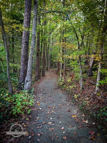 Best Hikes and Trails in Lake Thom-A-Lex Park | AllTrails