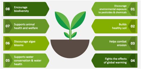 Natural Farming in India: Characteristics, Examples and Scope