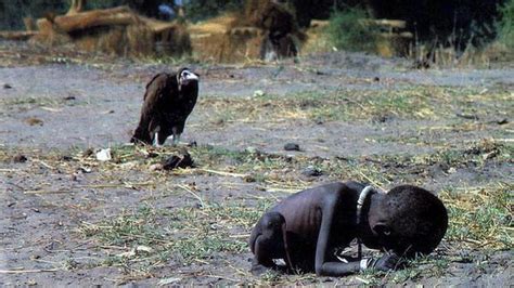 Kevin Carter’s iconic photograph: The vulture in the frame - The Hindu BusinessLine