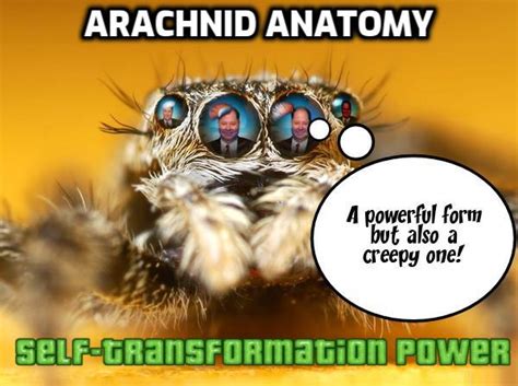 043) Arachnid Anatomy – Foxhugh Superpowers List