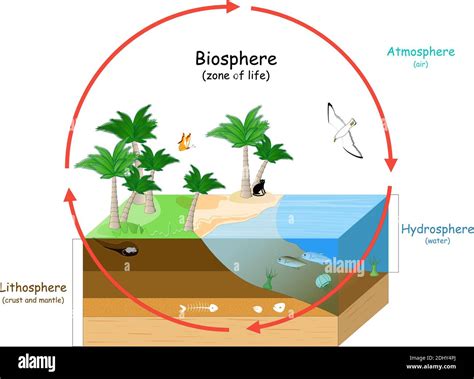 Which Animals Live in the Hydrosphere and Lithosphere