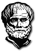 Aristotle's Lantern | Ask A Biologist