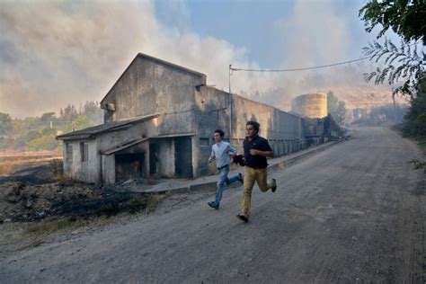 Chile Ravaged by Worst Fires in Its History