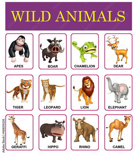 Wild Animals Pictures Chart