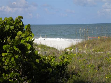 Indian Shores Beach, Florida | Indian shores, Indian shores beach, Shores beach