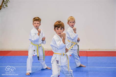 WKF Okinawa Karate Denver Aurora Martial Arts for kids discipline respect focus karate kid ...