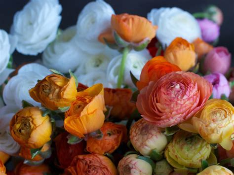 10 Best Florists in Boston: Local Floral Shops for Valentine's Day