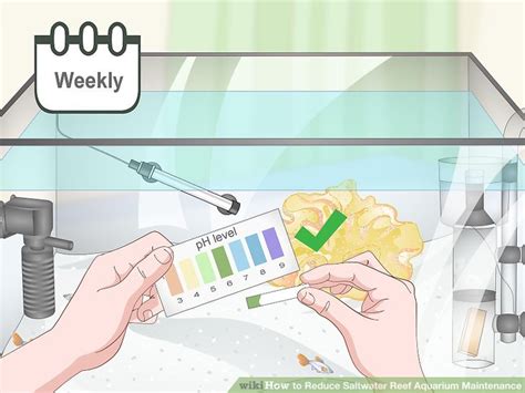 3 Ways to Reduce Saltwater Reef Aquarium Maintenance - wikiHow Pet