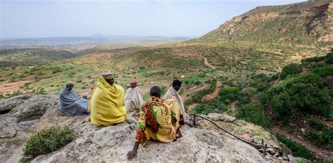 Tigray in Ethiopia was an environmental success story – but the war is ...