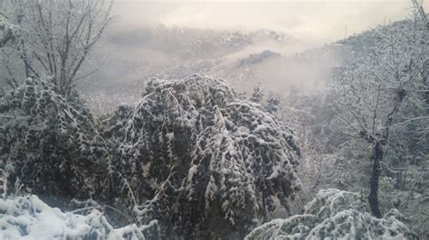 Shimla Snowfall Months - Safe Seasons to Visit