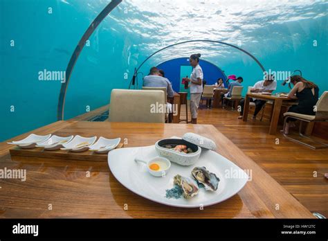 Maldives, Rangali Island. Conrad Hilton Resort. Ithaa, underwater restaurant Stock Photo - Alamy