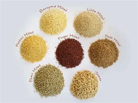 All Varietes of Millet, High in Protein at Rs 80/kg in Anaparthi | ID: 23501523355