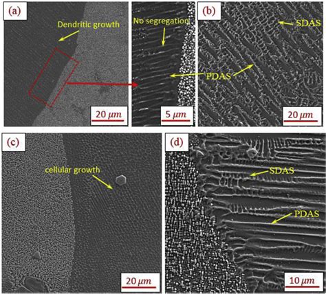 -Formation of dendrites in weld metal with different morphologies: (a)... | Download Scientific ...