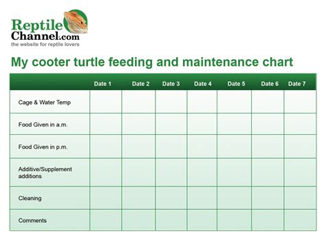 Cooter Turtle Maintenance Chart - Reptiles Magazine