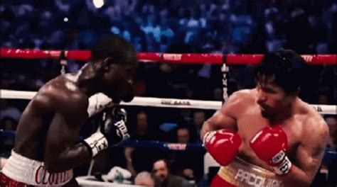 Pacquiao Chop Boxing Match GIF - Pacquiao Chop Boxing Match Punch - Discover & Share GIFs