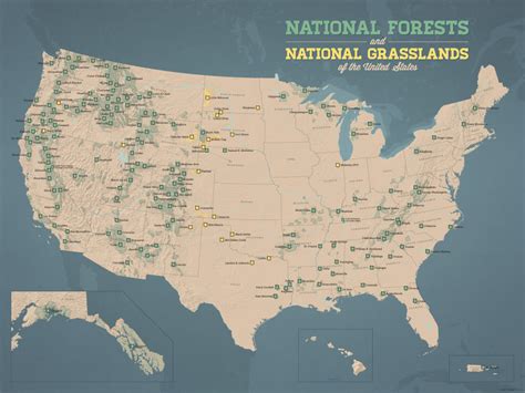 US National Forests Map 18x24 Poster - Best Maps Ever