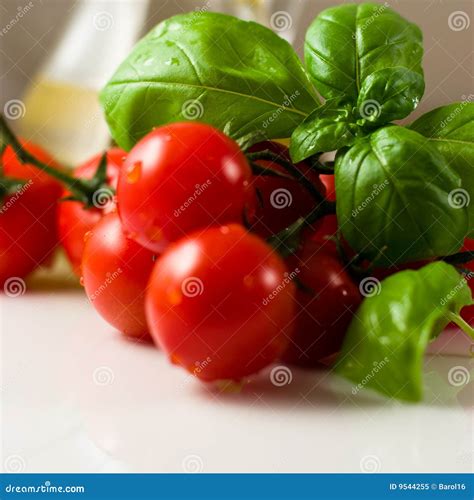 Tomatoes with basil stock image. Image of healthy, diet - 9544255