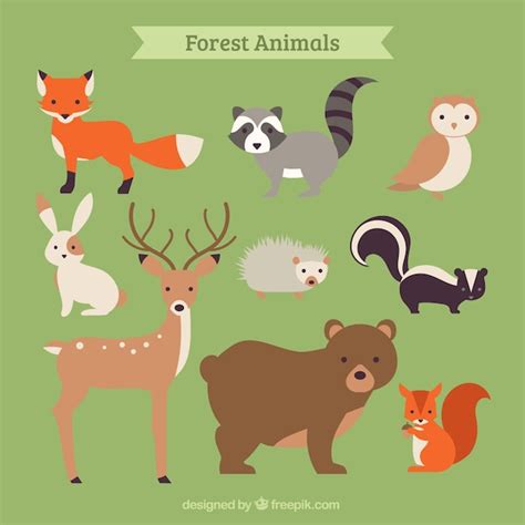 Free Vector | Hand drawn forest animal collection