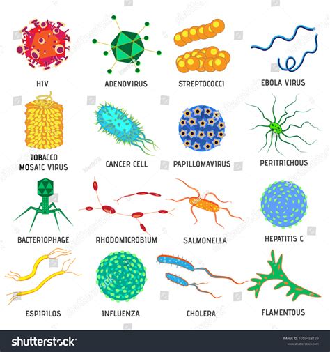 Colorful Set Bacteria Germs Names Vector: vector de stock (libre de ...