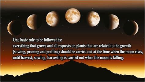 Moon Phase Today Planting 2024 Latest Ultimate Most Popular List of | Lunar Events Calendar 2024