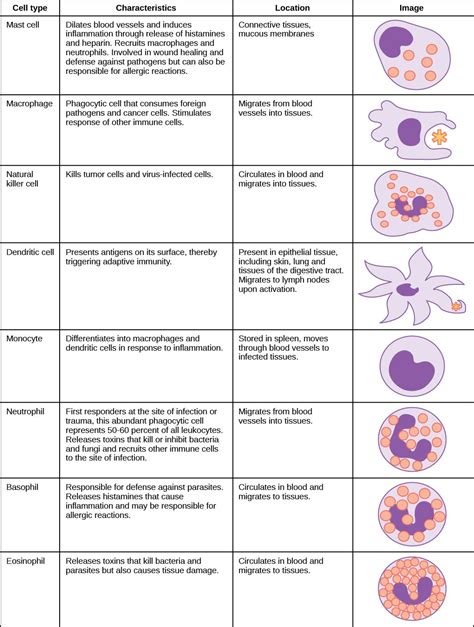 WBC Function | Medical laboratory science student, Medical laboratory ...