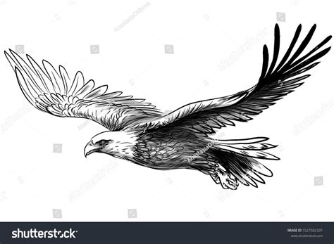 Soaring Bald Eagle Graphic Black White Stock Vector (Royalty Free) 1527502331 in 2021 | Eagle ...