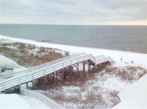 Snowy Beach - Sand and Sisal