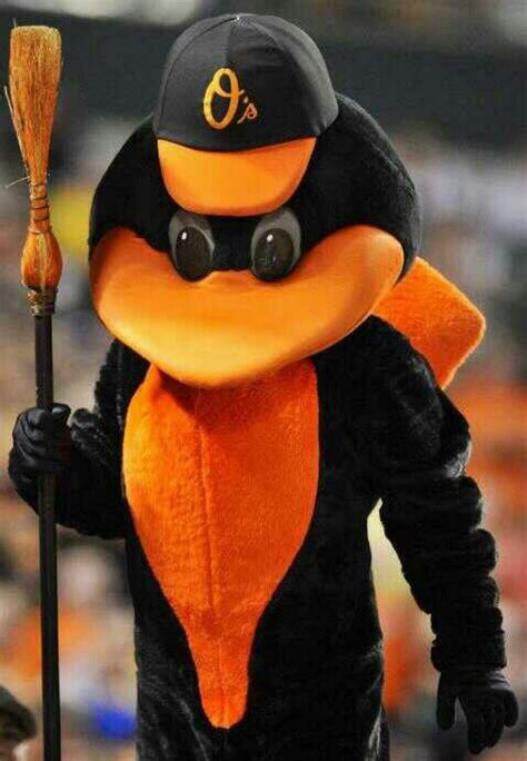 Baltimore Orioles mascot!! (Oriole bird) | Baltimore orioles baseball, Orioles baseball ...