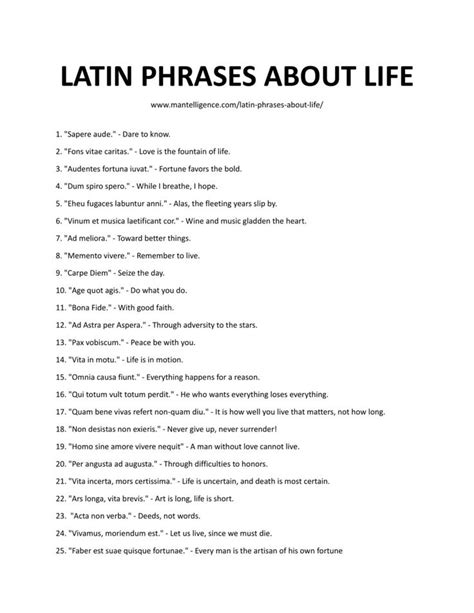 21 Latin Phrases About Life: Best Quotes For A Meaningful Life | Latin quotes about life, Latin ...