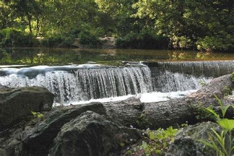 Pennypack Park