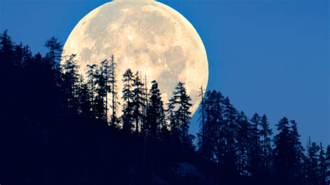 What Is a Supermoon and When Is the Next One?