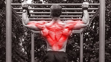 13 Best Latissimus Dorsi Exercises to Build Bigger Lats – Fitness Volt