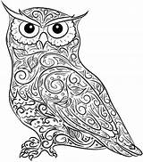 Difficult Owl Coloring Pages sketch template