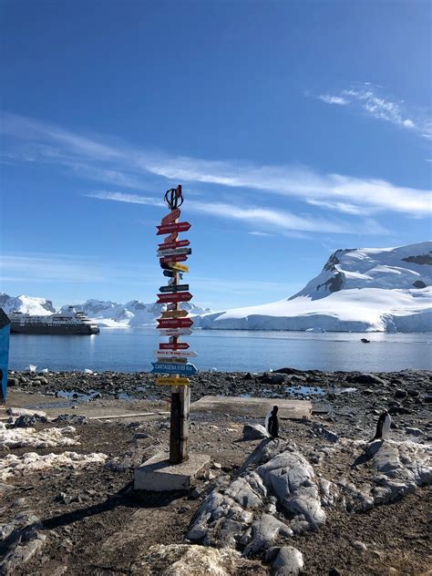 Paradise Harbour, Antarctic Peninsula: All You Must Know Before You Go (2024) - Tripadvisor