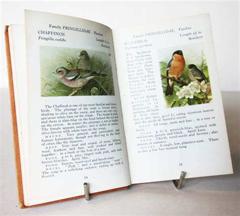 Birdwatching Vintage Book Illustrated Bird Book Nature - Etsy UK | Bird book, Vintage book ...