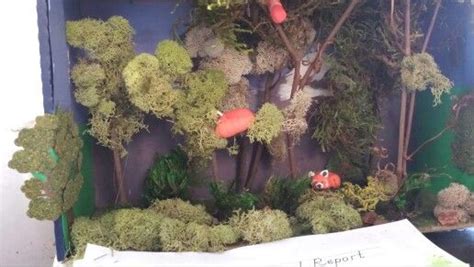 Red panda diorama | Panda habitat, Panda craft, Animal projects