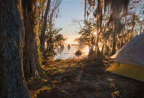 Free Camping in Florida: Tips For Saving Green in the Sunshine State